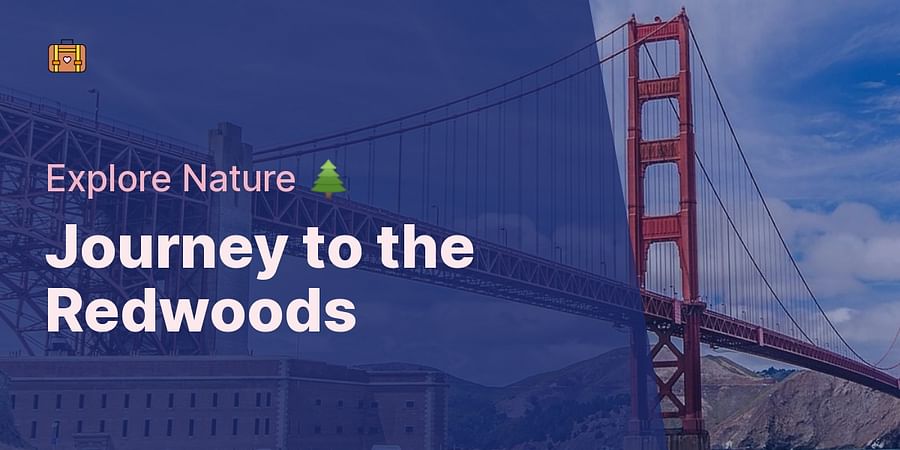 Journey to the Redwoods - Explore Nature 🌲